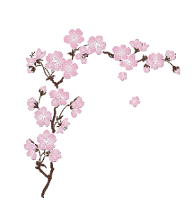 Fragrance Fleur de cerisier